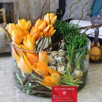 bình thủy tinh cắm hoa, chậu nuôi cá mini 20cm cao 10cm
