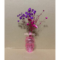 Bình Thuỷ Tinh Cắm Hoa , Decor , Trang Trí