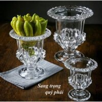 Bình thuỷ tinh để quả phật thủ, Lọ hoa thuỷ tinh cắm hoa, trồng hoa, trồng cây thuỷ sinh. Size 15 và 20cm
