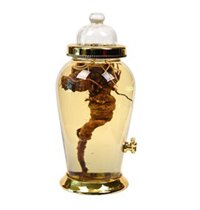 Bình thủy tinh Hàn Quốc 30 lít NO02V