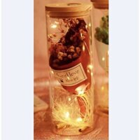 Bình thủy tinh hoa khô kèm dây đèn phát sáng, lọ ước nguyện trang trí phòng