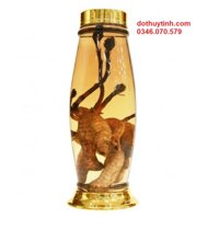 Bình Thủy Tinh Ngâm Rượu 4,5L NO17