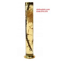 Bình Thủy Tinh Ngâm Rượu 4,5L NO46