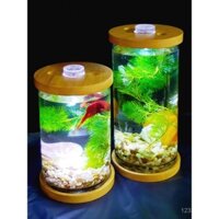 Bình thủy tinh nhỏ sáng tạo mới, thân thiện với môi trường, bể cá Betta, cá cảnh, tôm, ốc, cảnh quan thủy tinh, cây thủy sinh thật