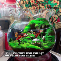 BÌNH THỦY TINH NUÔI CÁ ĐỂ BÀN, CHẬU CÁ THỦY TINH MINI, BÌNH THỦY TINH TRỒNG CÂY THỦY SINH TRÒN BÈO B11