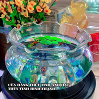 BÌNH THỦY TINH NUÔI CÁ ĐỂ BÀN B17,CHẬU CÁ THỦY TINH MINI,BÌNH THỦY TINH TRỒNG CÂY THỦY SINH