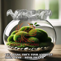 BÌNH THỦY TINH NUÔI CÁ ĐỂ BÀN,CHẬU CÁ THỦY TINH MINI,BÌNH THỦY TINH TRỒNG CÂY THỦY SINH B2