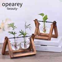 Bình thủy tinh OPEAREY Trang trí nội thất Terrarium Để bàn Chậu hoa