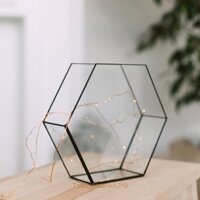 Bình thủy tinh terrarium tiểu cảnh bán cạn đa giác mẫu A6