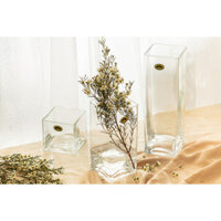 Bình thủy tinh trang trí, cắm hoa trụ VUÔNG 10x20cm