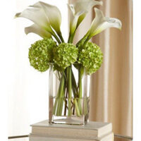 Bình thủy tinh trang trí, cắm hoa trụ VUÔNG 10x20cm