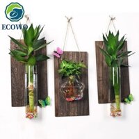 Bình thủy tinh treo tường AQUAGEM, Hộp đựng thủy canh sáng tạo treo tường, Bể cá nhỏ cổ điển Cây gỗ nguyên khối Chậu hoa khách sạn