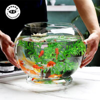 Bình Thủy Tinh tròn chân có đế chuyên dùng trồng cây thủy sinh, thủy canh, bình nuôi cá để bàn
