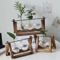 Bình Thủy Tinh Trồng Cây, có giá treo bằng gỗ trang trí bàn làm việc, bình hoa thủy tinh trang trí nhà cửa mã 10.11