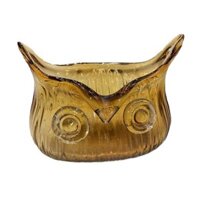 Bình thủy tinh trồng cây thủy sinh