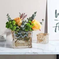 Bình thủy tinh trong suốt màu xám hiện đại, Hình dạng tan chảy của sông băng sáng tạo, Chậu hoa thủy canh Cây xanh Pennywort, Trang trí nhà cửa