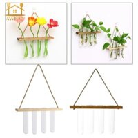 Bình treo ống Planter Terrarium có móc treo bằng gỗ cho cây xanh