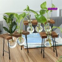 Bình trồng cây thủy canh SAMO Vintage Terrarium Để bàn Planter Khung gỗ