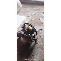 bình xăng con xe ga Attila