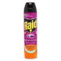 Bình Xịt Côn Trùng Hương Cam Chanh, Bug & Insect Repellent Spray, Orange (600ml) - RAID