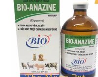 Bio Anazine [100 ml] kháng viêm, hạ sốt, giảm ngay triệu chứng sau khi sử dụng