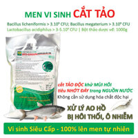 BIO-GREEN vi sinh xử lý nước ao hồ nuôi Cá Tôm bị ô nhiễm hoi thối. Cắt tảo xanh, tiêu nhớt đáy. Phân hủy cặn bã dư thừa làm trong sạch nguồn nước