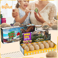 Biplut Hóa thạch giáo dục Đồ chơi khảo cổ học Đồ chơi trứng khủng long cho trẻ em Bộ dụng cụ khai quật trứng khủng long 12 mảnh cho trẻ em Đồ chơi giáo dục thân cây cho bé trai và bé gái Quà tặng sinh nhật hoàn hảo