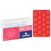 Biseptol 480 điều trị nhiễm trùng do vi sinh vật nhạy cảm với thuốc