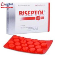 Biseptol 480