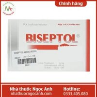 Biseptol 480mg