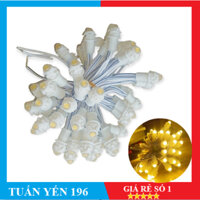 BỊT 1000 CON LED ĐÚC F5 - 12V MÀU VÀNG NẮNG/ TRẮNG- TRANG TRÍ CÂY CỐI SIÊU SÁNG