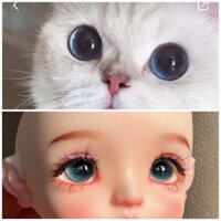 Bjd Doll Blue Cat 's Eye 1 / 3 1 / 4 1 / 6 Mắt Kính Giả Mắt