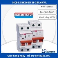 BKJ63N 2P 25A - Aptomat LS MCB 2P 25A 6KA