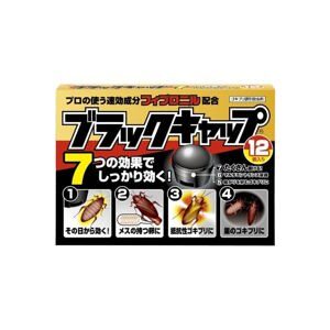 Black Cat - Tập 12