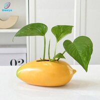 Blesiya Bình hoa gốm sứ hình xoài Bình trang trí trang trí nội thất Bình nhân giống