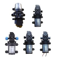 Blg 12V 60W 3-5L phút Máy bơm nước màng siêu nhỏ tự mồi Máy bơm chuyển điện