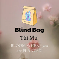 Blind Bag - Túi Mù Năng lượng Vũ Trụ Dion 🧚Quà Tặng