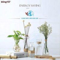 ❄bling157Lọ hoa thủy tinh mix 5 mẫu siêu xinh tặng kèm 5 dây dừa trang trí (combo 5 lọ)