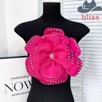 Bliss Hoa Lớn Táo, 3D Handmade Quần Áo Trang Trí Miếng Dán, DIY Ngực Hoa Kim Cương Giả Quần Áo Đính May
