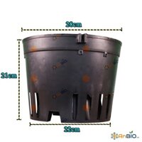 Block 5 CÁI CHẬU NHỰA TRỒNG LAN PHI 28cm - K2B.115