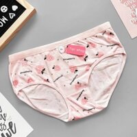 BN Bộ 4 Quần Lót Nữ Sexy ( 9 loại ) 24 1