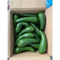 bơ 034 Lâm Đồng 10kg loại 2-3 trái/ký