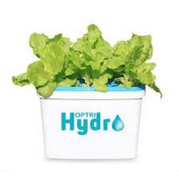 Bộ 1 chậu trồng thủy canh growbox leafy Hợp Trí