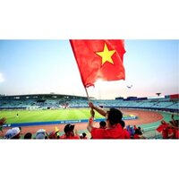 Bộ 1 cờ tổ quốc việt nam và 1 áo việt nam cờ đỏ sao vàng