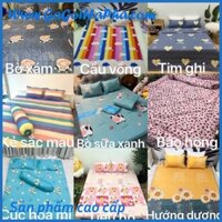 Bộ 1 Ga chun và 2 vỏ gối Cotton poly, chat chọn mẫu.