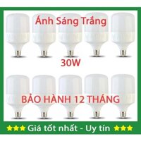 Bộ 10 bóng đèn led 30W cao cấp tiết kiệm điện