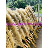 Bó 10 cành lau khô/Hoa lau khô/Cỏ lau khô cắm bình đẹp