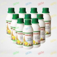 BỘ 10 CHAI PHÂN BÓN LAN KÍCH DƯỠNG HOA BREED-DT02 ORCHID BLOOM 100ML