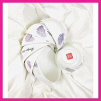 Bộ 10 chén ăn cơm [CAO CẤP][BÁT TRÀNG], bộ 10 bát ăn cơm,chén ăn cơm sứ họa tiết hoa dây leo- kèm hộp sang trọng