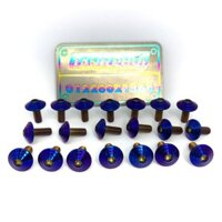 Bộ 10 con ốc thái 6 ly 1,5 phân dù to (M6*15) xi màu gắn nhiều vị trí như dàn áo, ốp bô, đuôi dè biển số